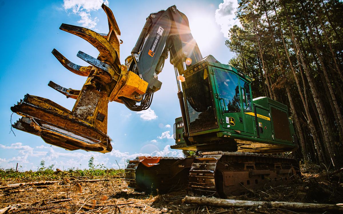 El primer Feller Buncher 903M operando en Argentina